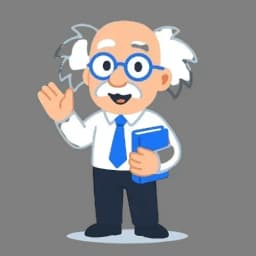 Professor - Φιλικός Καθηγητής